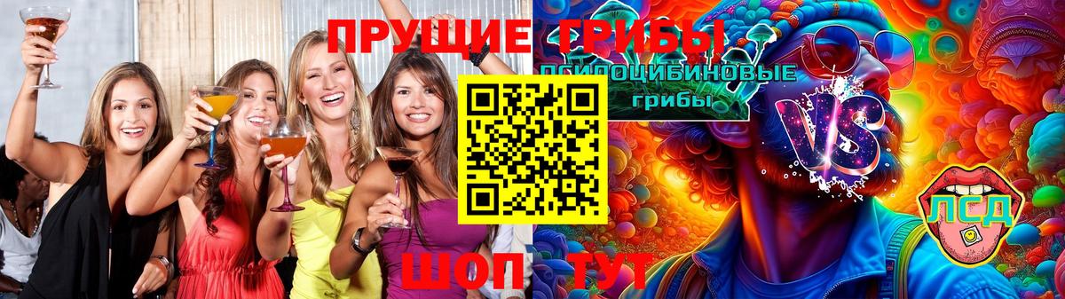 Саратов  Псилоцибиновые грибы мицелий  Псилоцибиновые грибы MAGIC MUSHROOMS  Вход с VPN 