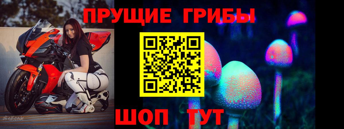 Псилоцибиновые грибы GOLDEN TEACHER Саратов